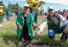 Ixtlahuaca apuesta por un futuro más verde; Lupita Díaz impulsa acciones a favor del medio ambiente