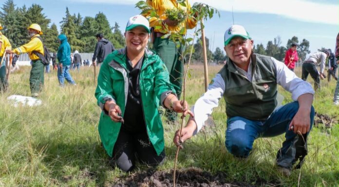 Ixtlahuaca apuesta por un futuro más verde; Lupita Díaz impulsa acciones a favor del medio ambiente