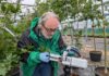 Reino Unido apuesta por la innovación genética para proteger la biodiversidad frente al cambio climático