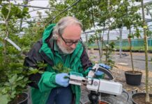 Reino Unido apuesta por la innovación genética para proteger la biodiversidad frente al cambio climático