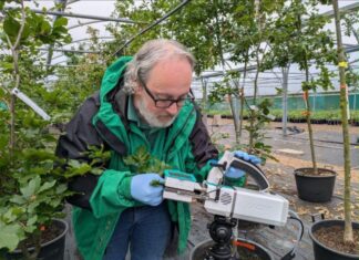 Reino Unido apuesta por la innovación genética para proteger la biodiversidad frente al cambio climático