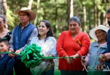 Acambay fortalece la seguridad y movilidad con nueva etapa de alumbrado en Agua Limpia