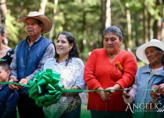 Acambay fortalece la seguridad y movilidad con nueva etapa de alumbrado en Agua Limpia