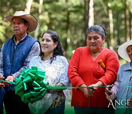 Acambay fortalece la seguridad y movilidad con nueva etapa de alumbrado en Agua Limpia