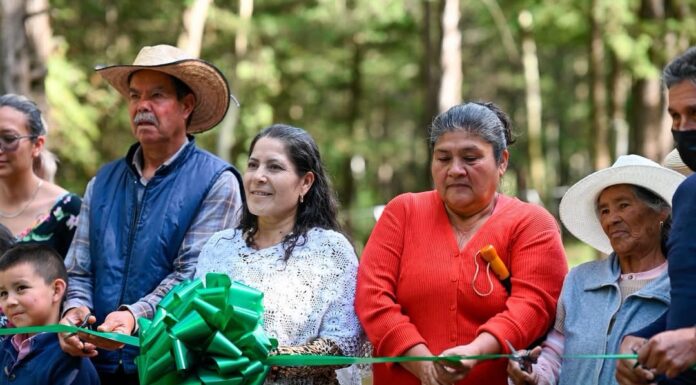 Acambay fortalece la seguridad y movilidad con nueva etapa de alumbrado en Agua Limpia