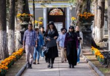 Morras Malditas llevan el terror al Panteón General La Soledad durante el Festival Alfeñique 2026