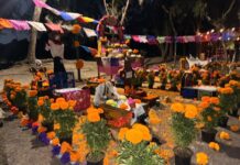 ¡QUE NO SE PIERDAN NUESTRAS TRADICIONES! IZCALLI INICIA HOY MONTAJE DE OFRENDAS Y PREPARA GUELAGUETZA Y FESTIVAL INTERNACIONAL