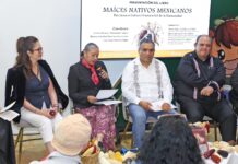UAEMéx impulsa reconocimiento del maíz nativo mexicano como patrimonio cultural inmaterial de la humanidad