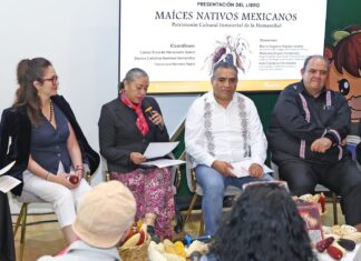 UAEMéx impulsa reconocimiento del maíz nativo mexicano como patrimonio cultural inmaterial de la humanidad