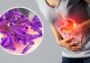 Shigella resistente: preocupa su propagación por contacto sexual en Estados Unidos y Europa