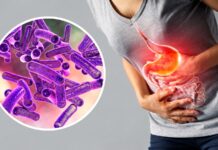 Shigella resistente: preocupa su propagación por contacto sexual en Estados Unidos y Europa