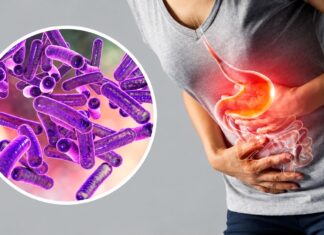 Shigella resistente: preocupa su propagación por contacto sexual en Estados Unidos y Europa