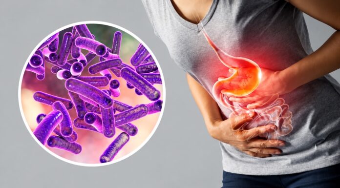 Shigella resistente: preocupa su propagación por contacto sexual en Estados Unidos y Europa