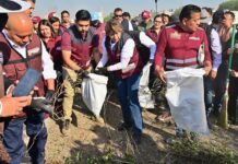 Impulsa Delfina Gómez energías sustentables y manejo responsable de residuos en el Edoméx