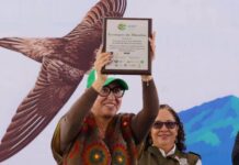 Reconocen a Ecatepec por acciones para proteger aves migratorias y sus hábitats