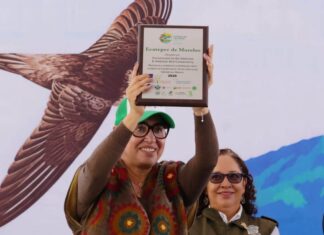 Reconocen a Ecatepec por acciones para proteger aves migratorias y sus hábitats