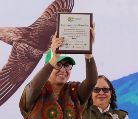 Reconocen a Ecatepec por acciones para proteger aves migratorias y sus hábitats