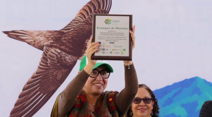 Reconocen a Ecatepec por acciones para proteger aves migratorias y sus hábitats