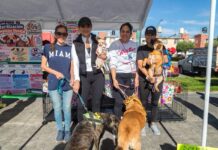 Erika Olea promueve la adopción responsable de mascotas con el Perrotón en Tianguistenco