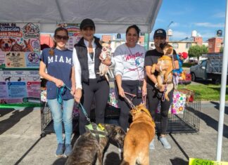 Erika Olea promueve la adopción responsable de mascotas con el Perrotón en Tianguistenco