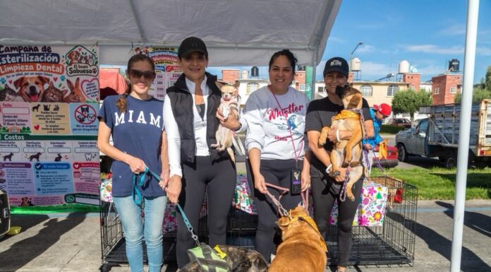 Erika Olea promueve la adopción responsable de mascotas con el Perrotón en Tianguistenco